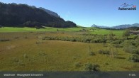 Archiv Foto Webcam Moorgebiet Schwemm am Walchsee 10:00