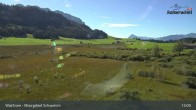 Archiv Foto Webcam Moorgebiet Schwemm am Walchsee 12:00