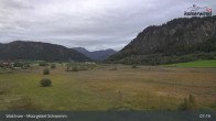Archiv Foto Webcam Moorgebiet Schwemm am Walchsee 06:00