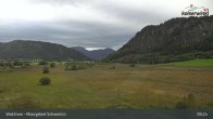 Archiv Foto Webcam Moorgebiet Schwemm am Walchsee 08:00