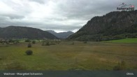 Archiv Foto Webcam Moorgebiet Schwemm am Walchsee 09:00