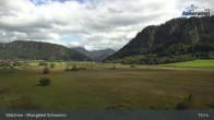 Archiv Foto Webcam Moorgebiet Schwemm am Walchsee 14:00