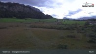 Archiv Foto Webcam Moorgebiet Schwemm am Walchsee 00:00