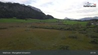 Archiv Foto Webcam Moorgebiet Schwemm am Walchsee 06:00