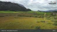 Archiv Foto Webcam Moorgebiet Schwemm am Walchsee 09:00