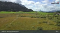 Archiv Foto Webcam Moorgebiet Schwemm am Walchsee 10:00
