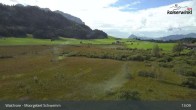 Archiv Foto Webcam Moorgebiet Schwemm am Walchsee 12:00
