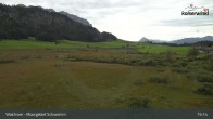 Archiv Foto Webcam Moorgebiet Schwemm am Walchsee 14:00