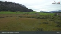 Archiv Foto Webcam Moorgebiet Schwemm am Walchsee 16:00