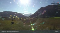 Archiv Foto Webcam Moorgebiet Schwemm am Walchsee 08:00