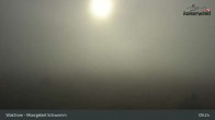Archiv Foto Webcam Moorgebiet Schwemm am Walchsee 08:00