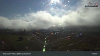 Archiv Foto Webcam Moorgebiet Schwemm am Walchsee 09:00