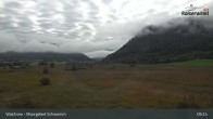 Archiv Foto Webcam Moorgebiet Schwemm am Walchsee 08:00
