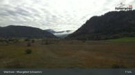 Archiv Foto Webcam Moorgebiet Schwemm am Walchsee 10:00