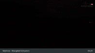 Archiv Foto Webcam Moorgebiet Schwemm am Walchsee 04:00