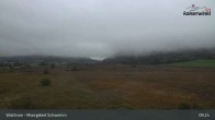Archiv Foto Webcam Moorgebiet Schwemm am Walchsee 08:00