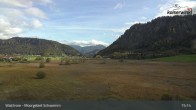 Archiv Foto Webcam Moorgebiet Schwemm am Walchsee 14:00