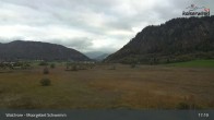 Archiv Foto Webcam Moorgebiet Schwemm am Walchsee 16:00