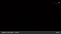 Archiv Foto Webcam Moorgebiet Schwemm am Walchsee 04:00