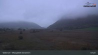 Archiv Foto Webcam Moorgebiet Schwemm am Walchsee 06:00