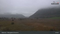 Archiv Foto Webcam Moorgebiet Schwemm am Walchsee 07:00