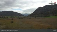 Archiv Foto Webcam Moorgebiet Schwemm am Walchsee 12:00