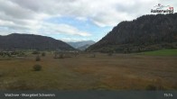 Archiv Foto Webcam Moorgebiet Schwemm am Walchsee 14:00