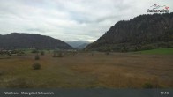 Archiv Foto Webcam Moorgebiet Schwemm am Walchsee 16:00