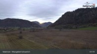Archiv Foto Webcam Moorgebiet Schwemm am Walchsee 06:00