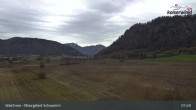 Archiv Foto Webcam Moorgebiet Schwemm am Walchsee 07:00