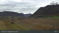 Archiv Foto Webcam Moorgebiet Schwemm am Walchsee 08:00