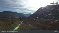 Archiv Foto Webcam Moorgebiet Schwemm am Walchsee 08:00