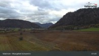 Archiv Foto Webcam Moorgebiet Schwemm am Walchsee 07:00