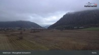 Archiv Foto Webcam Moorgebiet Schwemm am Walchsee 04:00