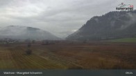 Archiv Foto Webcam Moorgebiet Schwemm am Walchsee 08:00