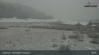 Archiv Foto Webcam Moorgebiet Schwemm am Walchsee 07:00
