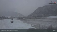 Archiv Foto Webcam Moorgebiet Schwemm am Walchsee 08:00