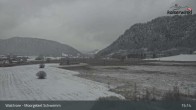 Archiv Foto Webcam Moorgebiet Schwemm am Walchsee 14:00