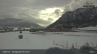 Archiv Foto Webcam Moorgebiet Schwemm am Walchsee 08:00