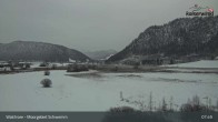 Archiv Foto Webcam Moorgebiet Schwemm am Walchsee 07:00