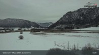 Archiv Foto Webcam Moorgebiet Schwemm am Walchsee 12:00