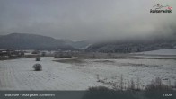 Archiv Foto Webcam Moorgebiet Schwemm am Walchsee 12:00