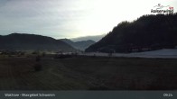 Archiv Foto Webcam Moorgebiet Schwemm am Walchsee 08:00