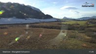 Archiv Foto Webcam Moorgebiet Schwemm am Walchsee 10:00