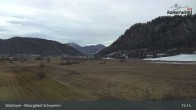 Archiv Foto Webcam Moorgebiet Schwemm am Walchsee 14:00