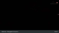 Archiv Foto Webcam Moorgebiet Schwemm am Walchsee 04:00