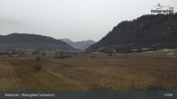 Archiv Foto Webcam Moorgebiet Schwemm am Walchsee 12:00