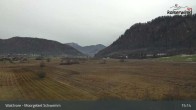 Archiv Foto Webcam Moorgebiet Schwemm am Walchsee 14:00