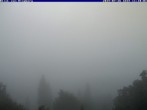 Archiv Foto Webcam Blick vom Schloss Ringberg auf den Tegernsee 09:00