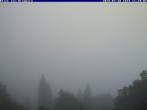 Archiv Foto Webcam Blick vom Schloss Ringberg auf den Tegernsee 09:00